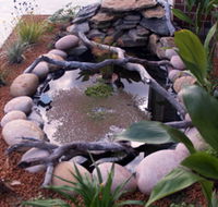 Equal Balance Bed and Breakfast - Coogee Beach Accommodation
