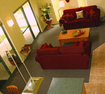 Tree Elle Retreat - Coogee Beach Accommodation