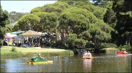 Misty Valley Country Cottages - Coogee Beach Accommodation 2