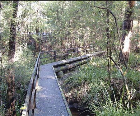 Misty Valley Country Cottages - Coogee Beach Accommodation 3