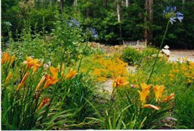 Warren River Cottages - Coogee Beach Accommodation 1