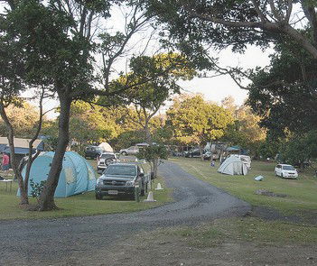 Flat Rock Tent Park - Coogee Beach Accommodation 3