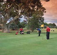 Barham Golf Resort - Coogee Beach Accommodation