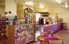 Sun Valley Tourist Park - Coogee Beach Accommodation 5