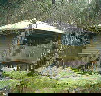 Possums Hideaway - Coogee Beach Accommodation