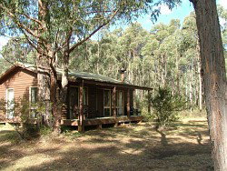 Werriberri Lodge - Coogee Beach Accommodation 0