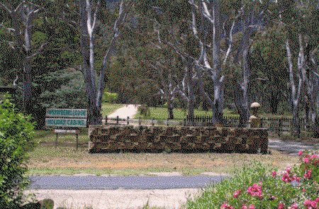 Werriberri Lodge - Coogee Beach Accommodation 3