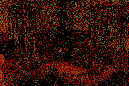 Werriberri Lodge - Coogee Beach Accommodation 5