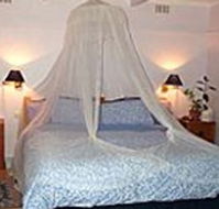 Bondi Beach Garden Sweet - Coogee Beach Accommodation