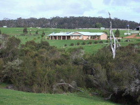 Stargazers - Coogee Beach Accommodation 1