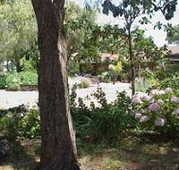Peaceful Bay Bed and Breakfast - Coogee Beach Accommodation
