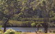Nornalup Riverside Chalets - thumb 1