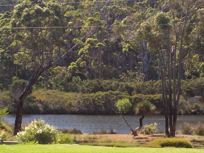 Nornalup Riverside Chalets - Coogee Beach Accommodation 1