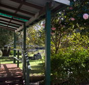 Bow River Cottage - Coogee Beach Accommodation