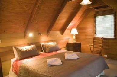 Bawley Bush Cottages - Coogee Beach Accommodation 2