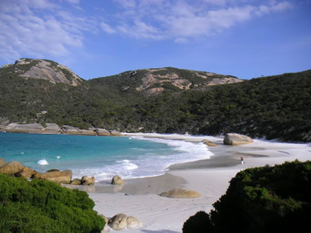 Ocean Pines Holiday Apartments - Coogee Beach Accommodation 5