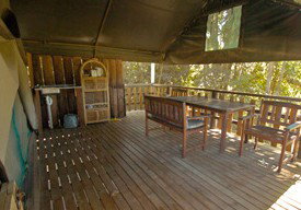 Lions Den Hotel - Coogee Beach Accommodation 2
