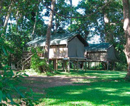 Lions Den Hotel - Coogee Beach Accommodation 3
