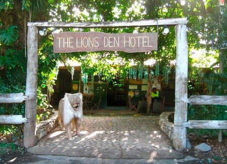 Lions Den Hotel - Coogee Beach Accommodation 5