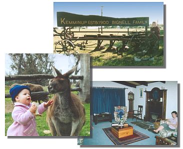 Kemminup Farm - Coogee Beach Accommodation 1