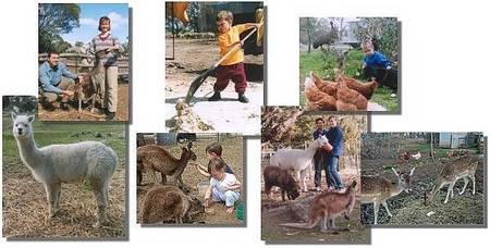 Kemminup Farm - Coogee Beach Accommodation 2