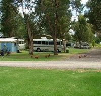 Harvey Rainbow Caravan Park - Coogee Beach Accommodation