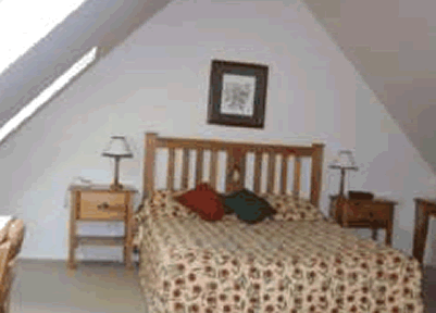 Watagan Lodge - Coogee Beach Accommodation 0