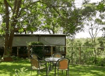 Watagan Lodge - Coogee Beach Accommodation 1