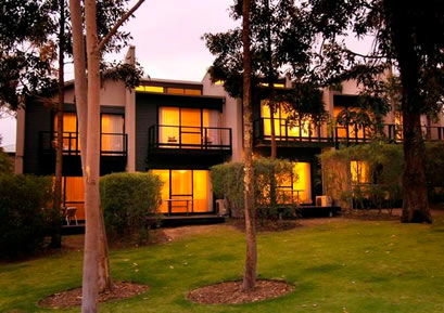 Margarets Forest Holiday Apartments - Coogee Beach Accommodation 3