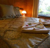 Treenbrook Cottages - Coogee Beach Accommodation