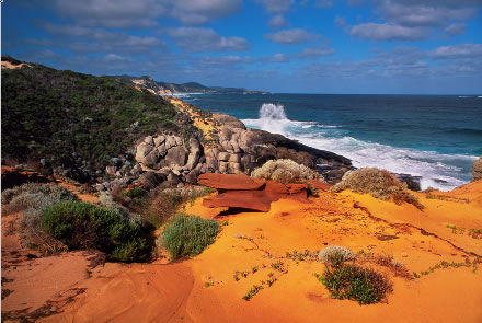 Nutkin Lodge - Coogee Beach Accommodation 4