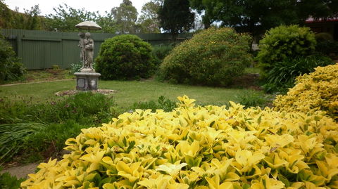 Ayers Burra - Coogee Beach Accommodation 2