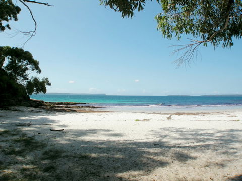 Blenheim Bliss - Coogee Beach Accommodation 2