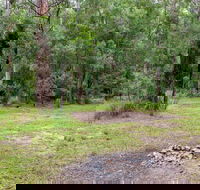 Blue Gum Flat campground - Coogee Beach Accommodation