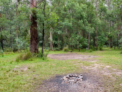 Blue Gum Flat Campground - Coogee Beach Accommodation 0