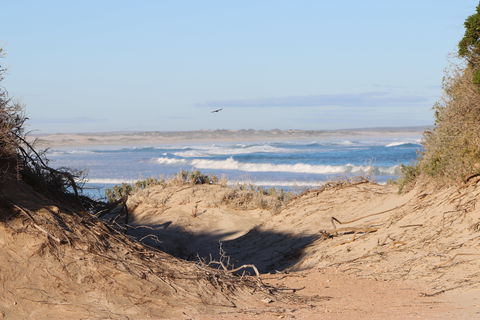 Chadinga Conservation Park Campground - Coogee Beach Accommodation 0