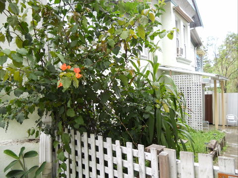 Chatswood Inn - Coogee Beach Accommodation 1