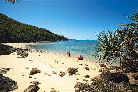Chance Bay, Whitsunday Island - Coogee Beach Accommodation 0