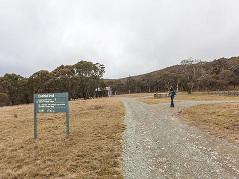 Cooinbil Hut Campground - Coogee Beach Accommodation 0