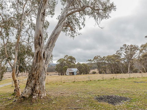 Cooinbil Hut Campground - Coogee Beach Accommodation 2
