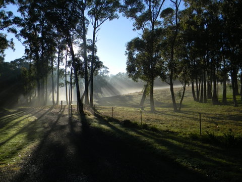 Cygnet Park Country Retreat - Coogee Beach Accommodation 2