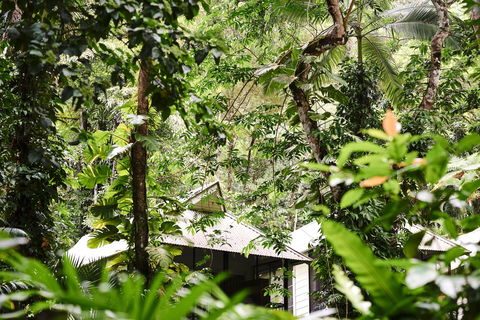 Daintree Ecolodge - Coogee Beach Accommodation 0