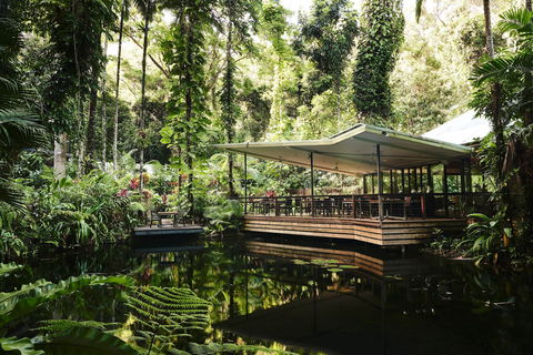 Daintree Ecolodge - Coogee Beach Accommodation 1