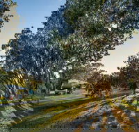 Delicate campground - Coogee Beach Accommodation