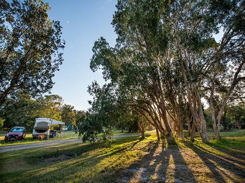 Delicate Campground - Coogee Beach Accommodation 0