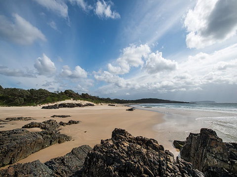 Delicate Campground - Coogee Beach Accommodation 1