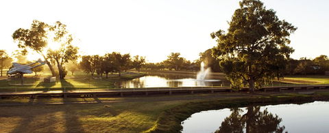Forbes River Meadow Caravan Park - Coogee Beach Accommodation 0