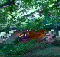 Hawthorne Cottage Blackheath - Coogee Beach Accommodation
