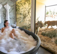 Jamala Wildlife Lodge - Coogee Beach Accommodation