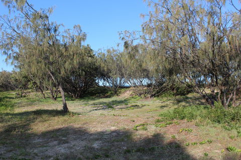 K'gari (Fraser Island) Camping, Great Sandy National Park - Coogee Beach Accommodation 1